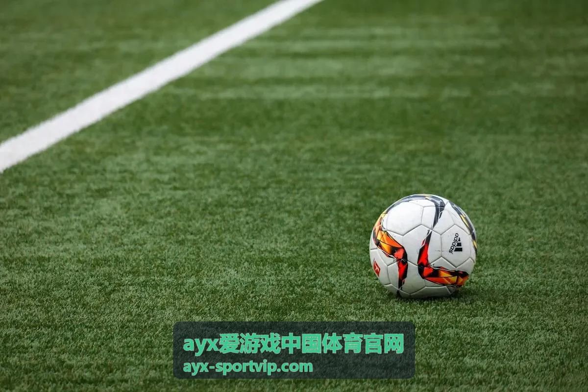 ayx爱游戏体育竞技